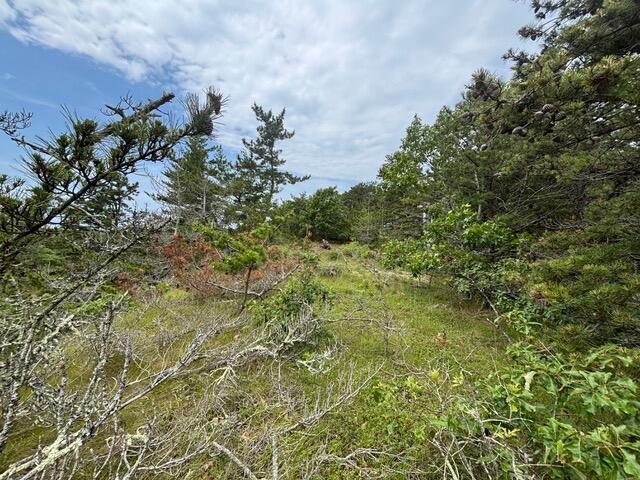 6 Longnook Lane Truro MA 02652