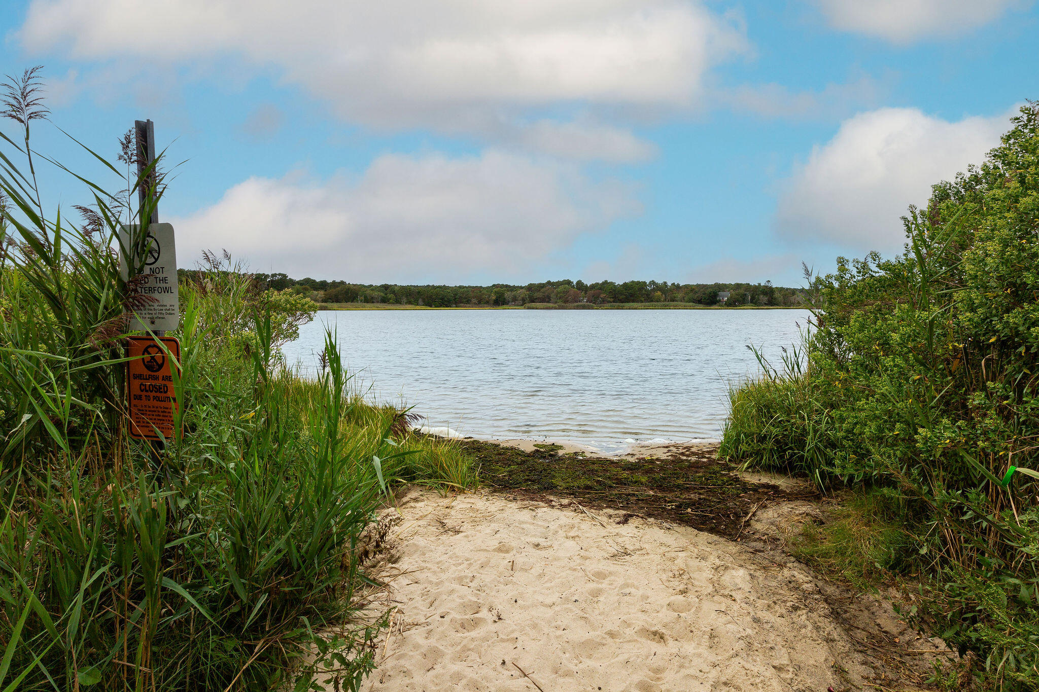 24 Indian Trail Dennis Port MA 02639
