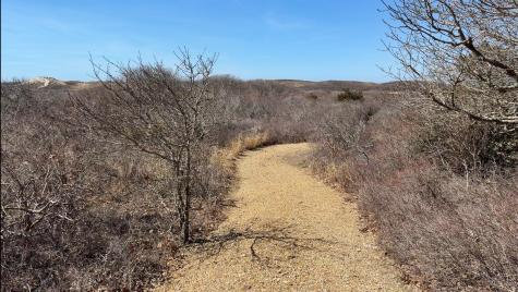 00 Moshup Trail Aquinnah MA 02535