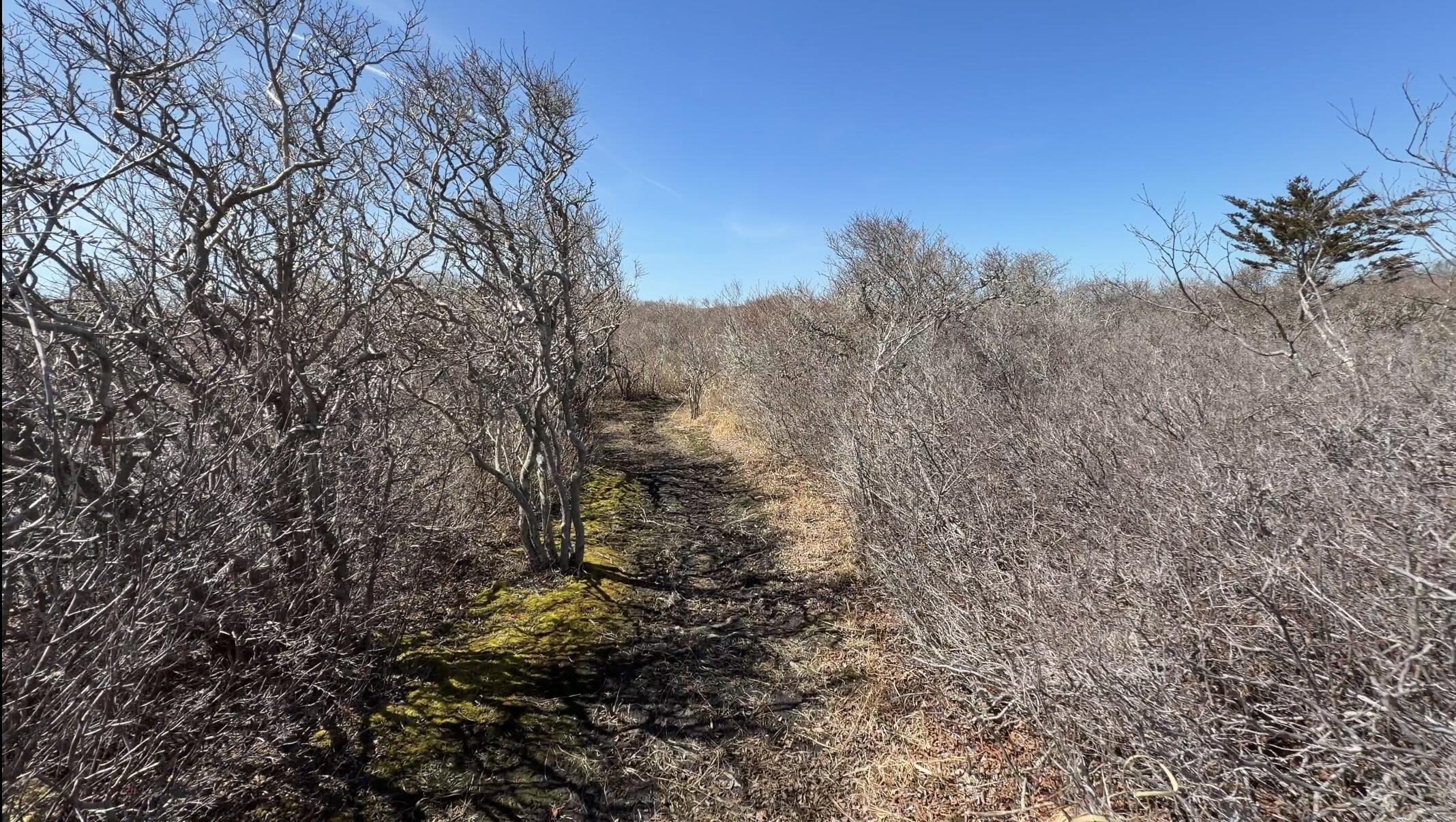 00 Moshup Trail Aquinnah MA 02535