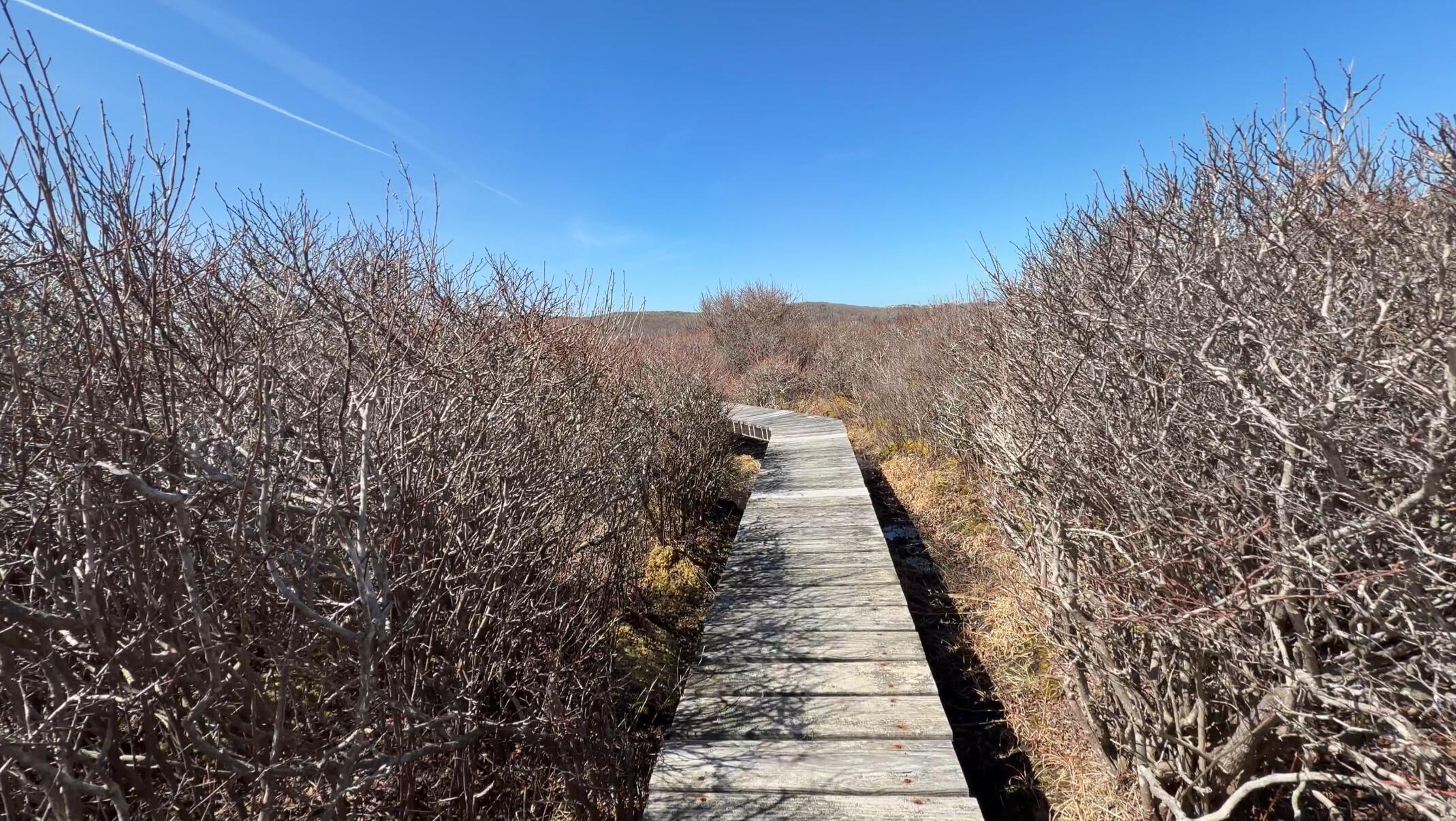 00 Moshup Trail Aquinnah MA 02535