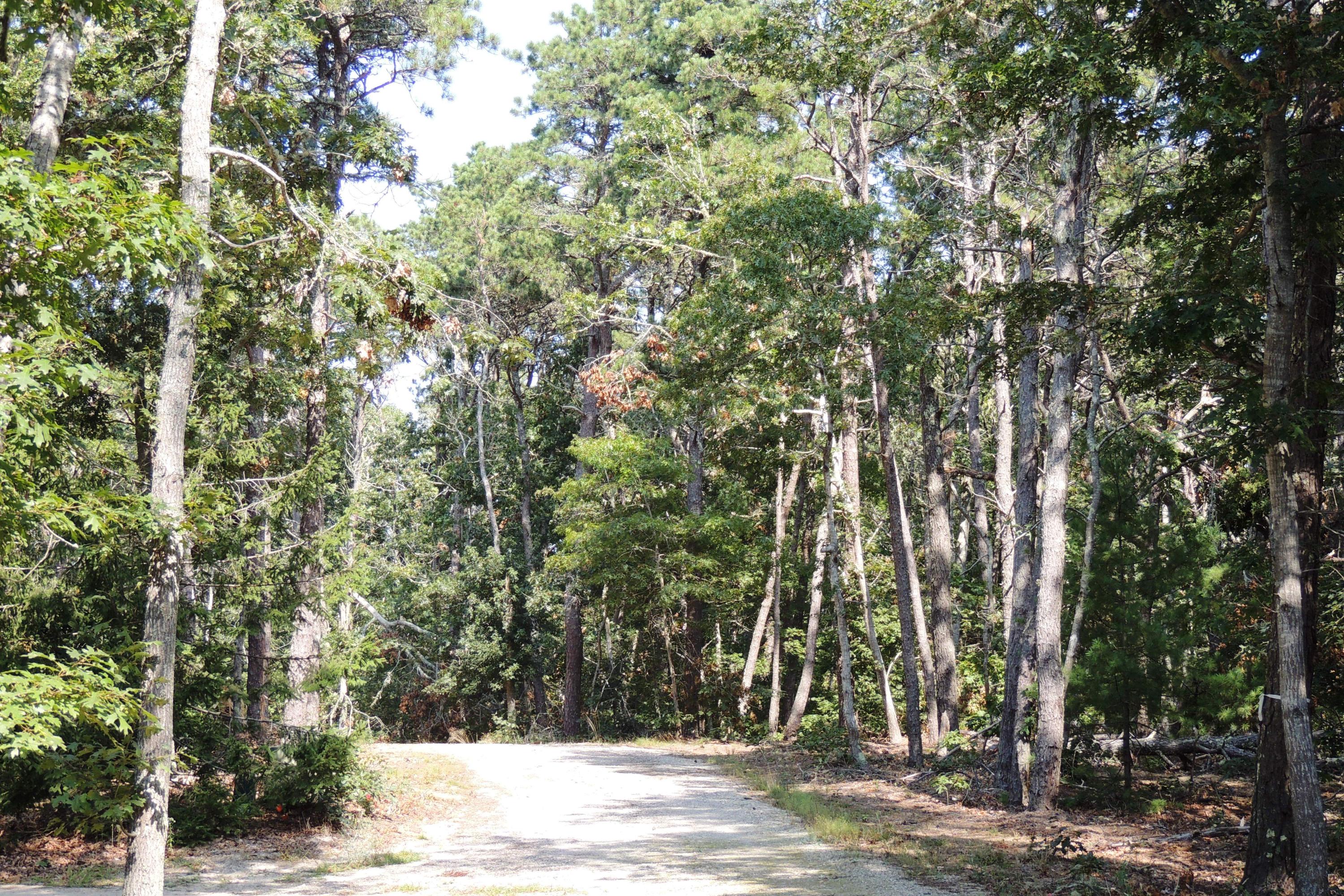 3 Old Campground Harwich Port MA 02646