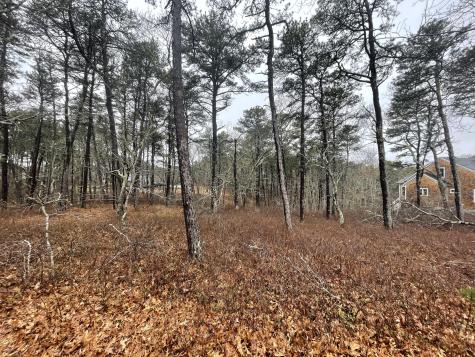 30 Sam Hollow Road Wellfleet MA 02667