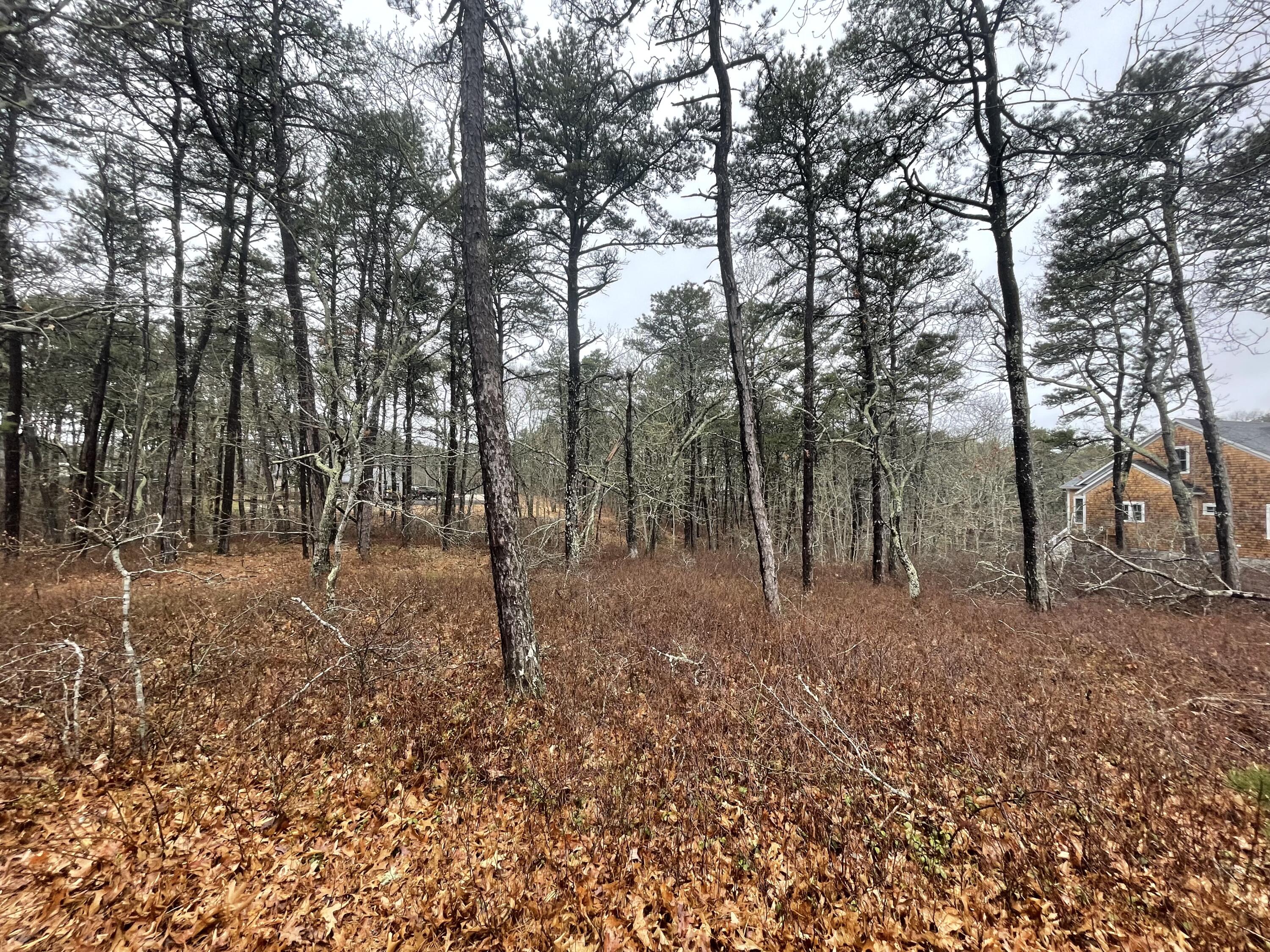 30 Sam Hollow Road Wellfleet MA 02667