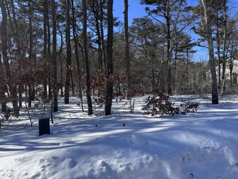 30 Sam Hollow Road Wellfleet MA 02667