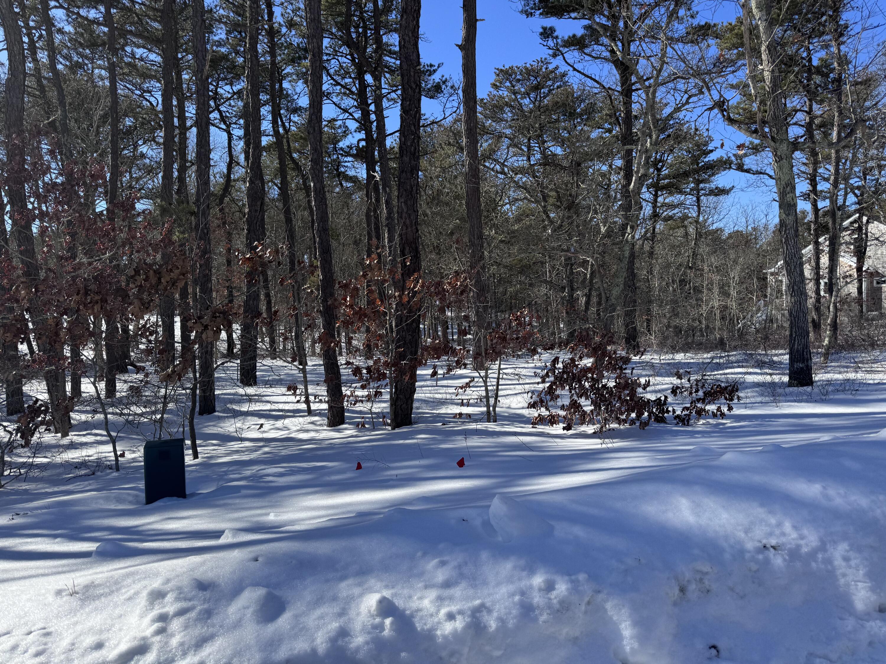 30 Sam Hollow Road Wellfleet MA 02667
