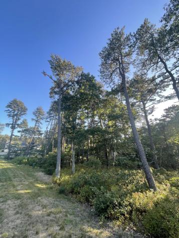 30 Sam Hollow Road Wellfleet MA 02667