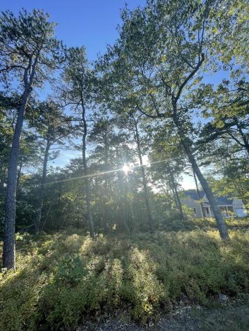 30 Sam Hollow Road Wellfleet MA 02667