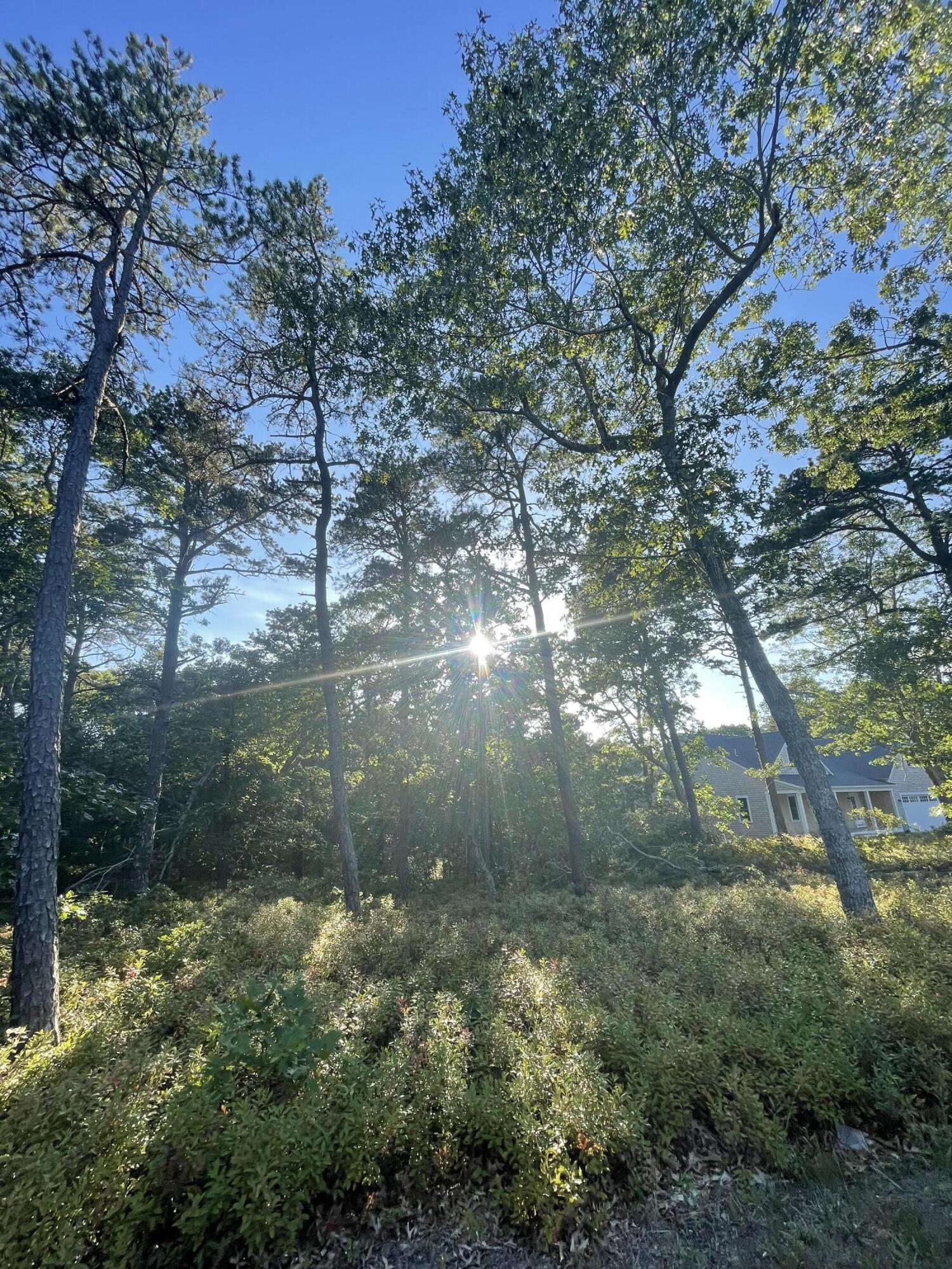30 Sam Hollow Road Wellfleet MA 02667