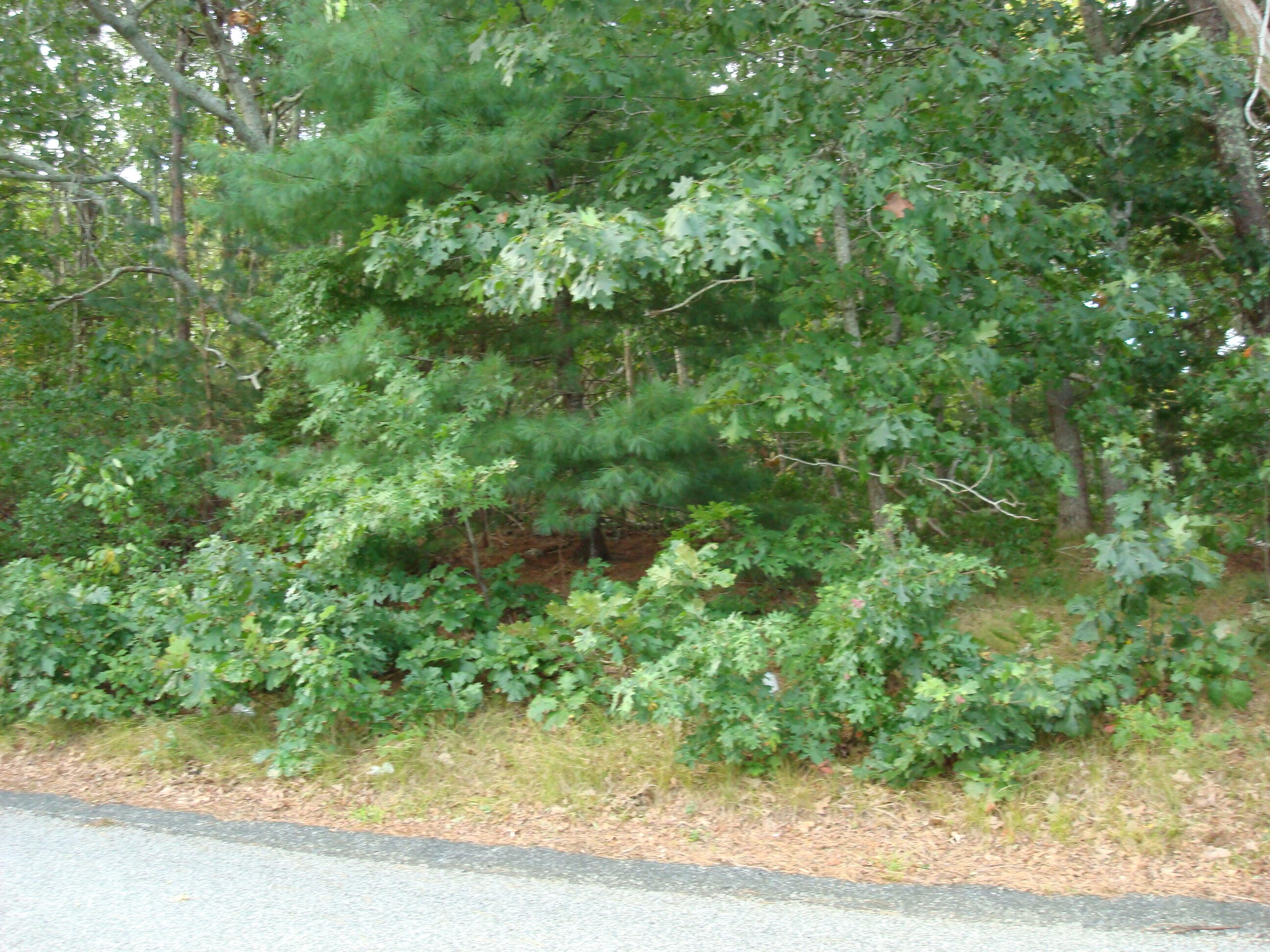 15 Signal Hill Drive Dennis MA 02638