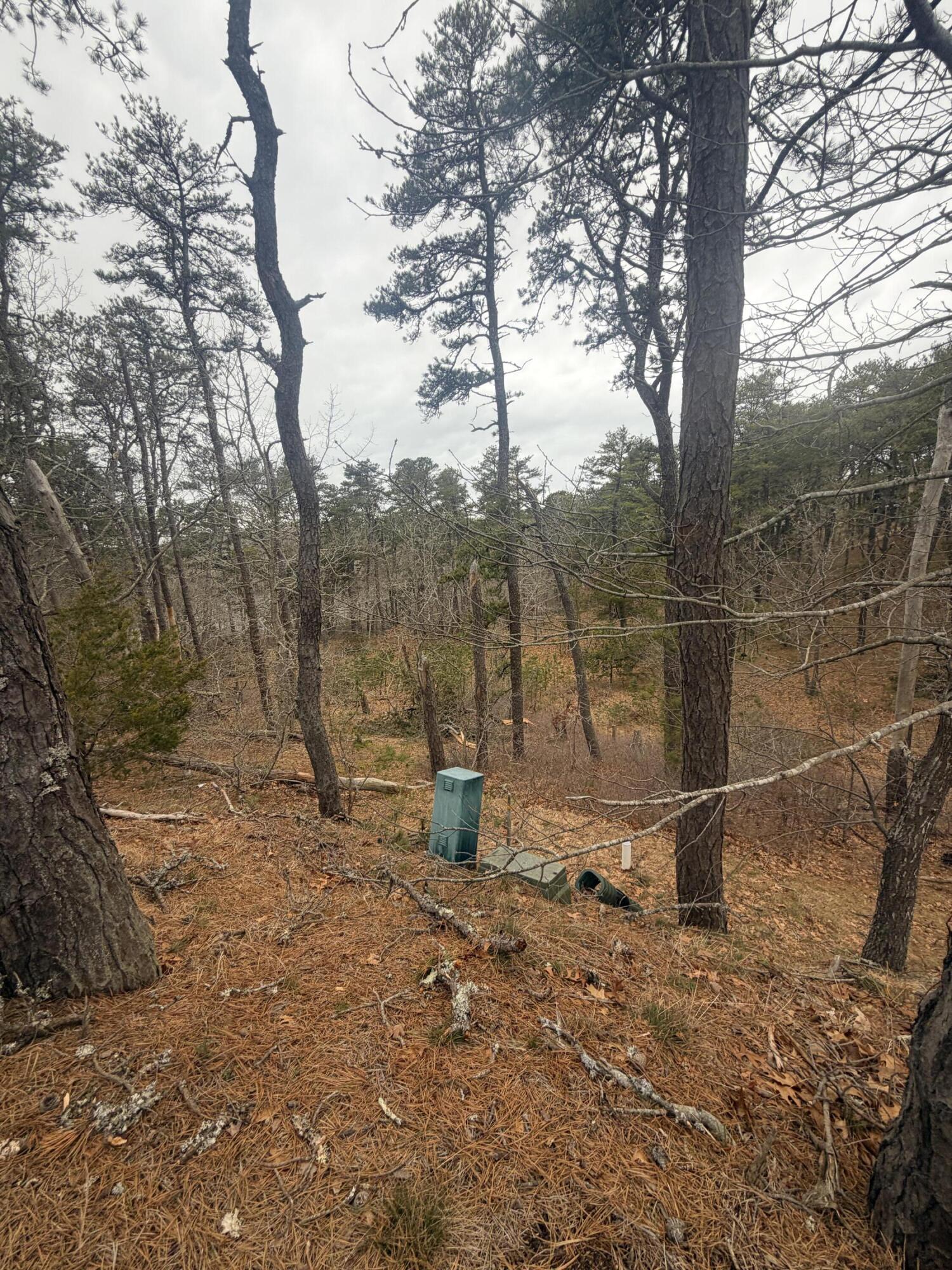 60 Perch Pond Way, Wellfleet MA photo 3