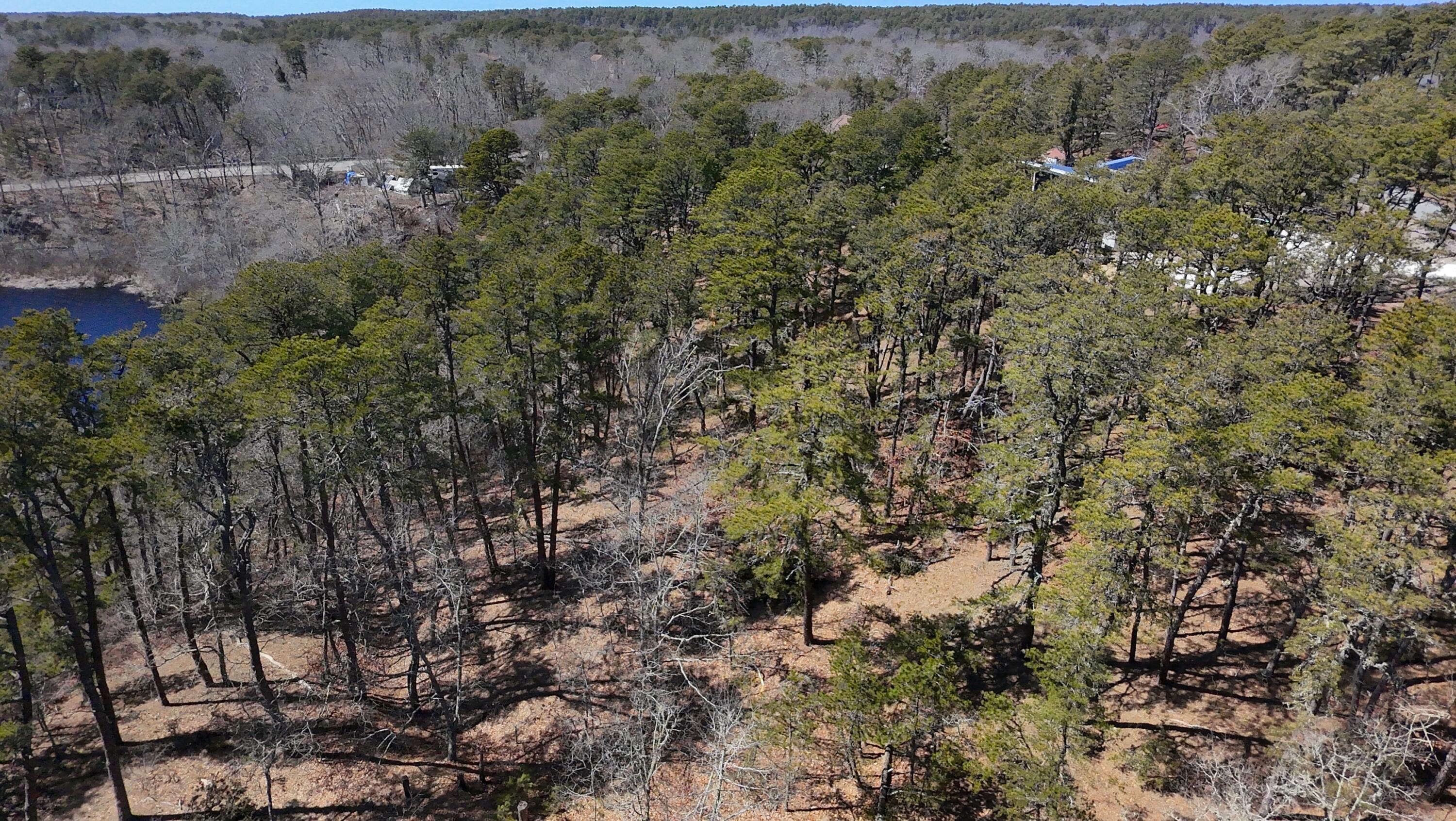 60 Perch Pond Way Wellfleet MA 02667
