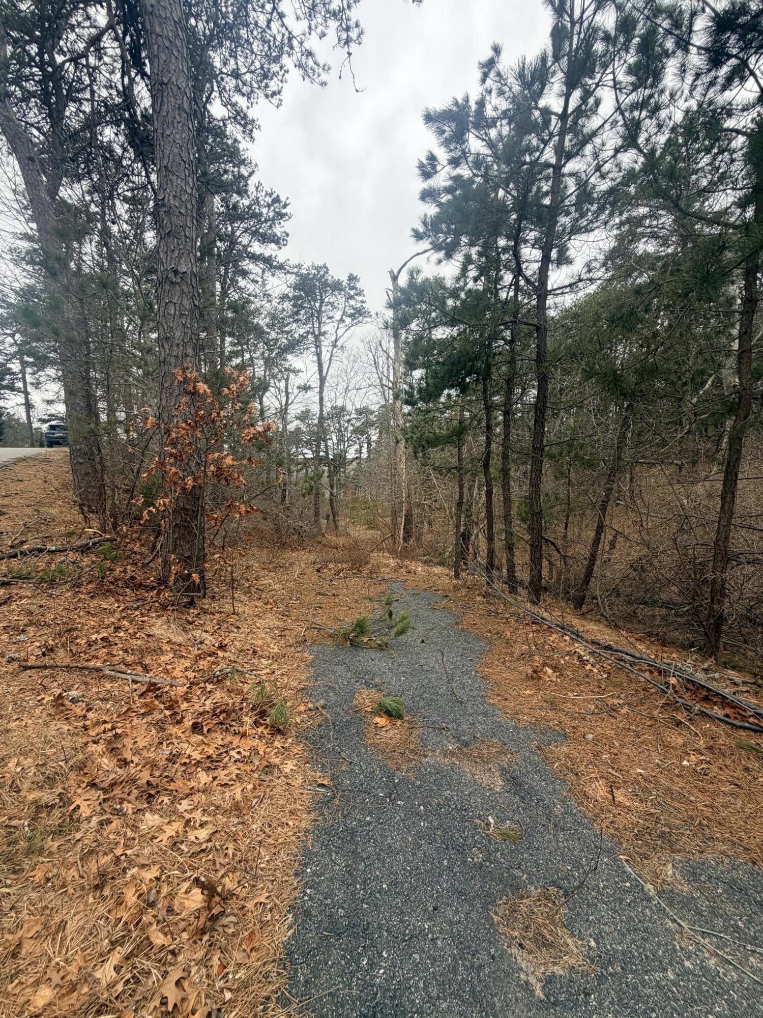 60 Perch Pond Way Wellfleet MA 02667