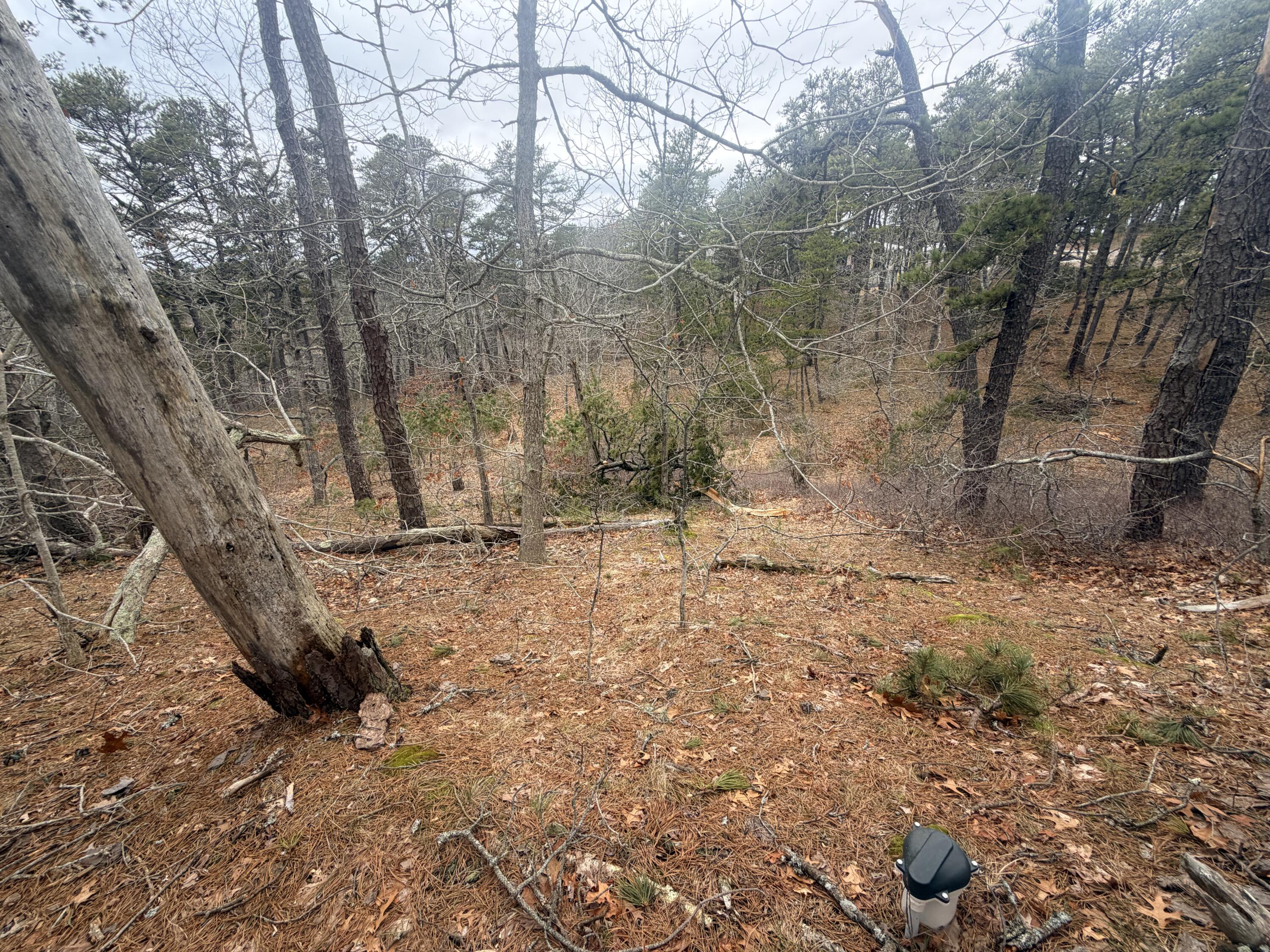 60 Perch Pond Way Wellfleet MA 02667