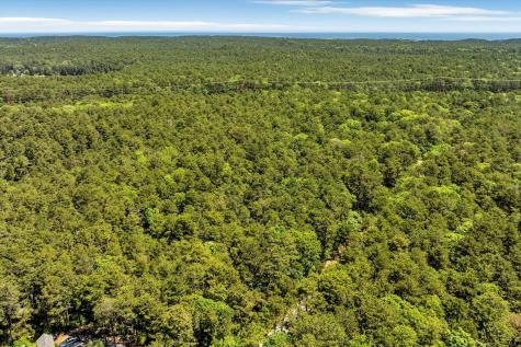 175 Delphi Path Wellfleet MA 02667