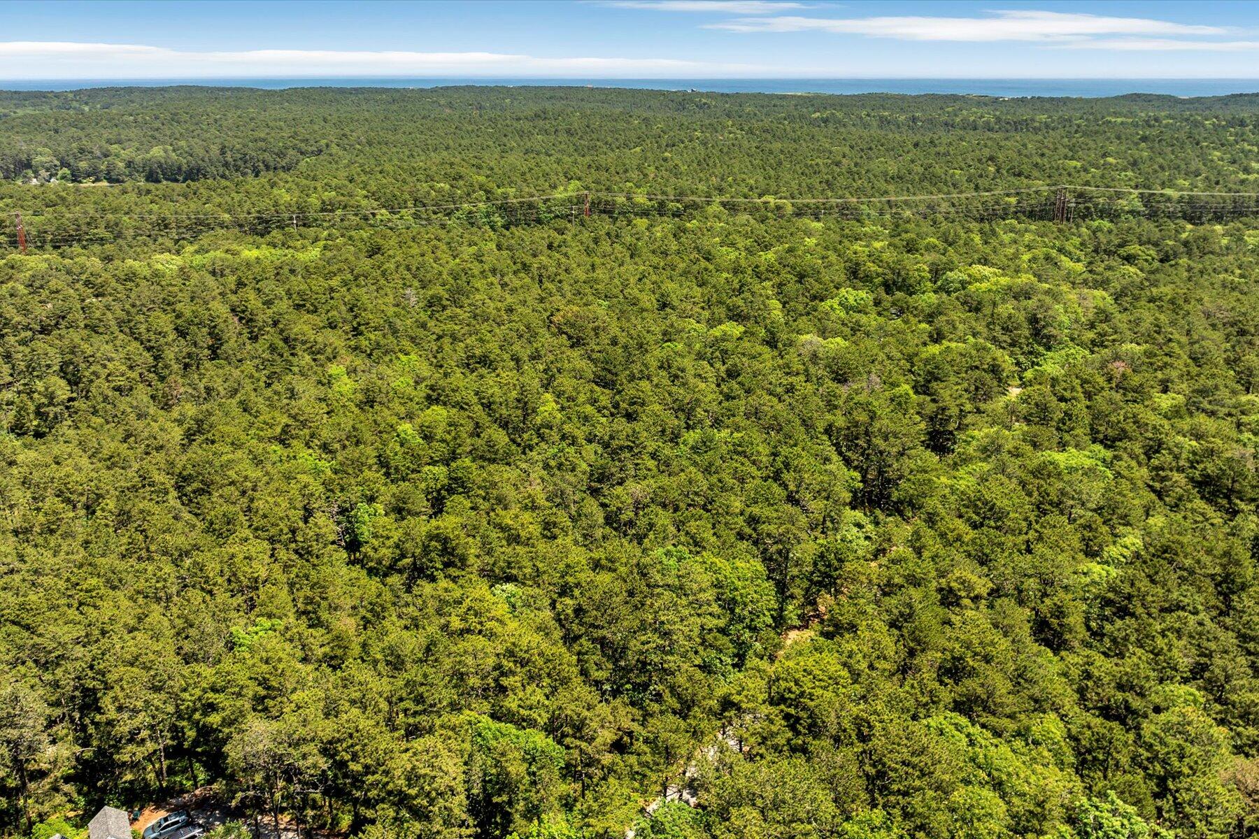 175 Delphi Path Wellfleet MA 02667