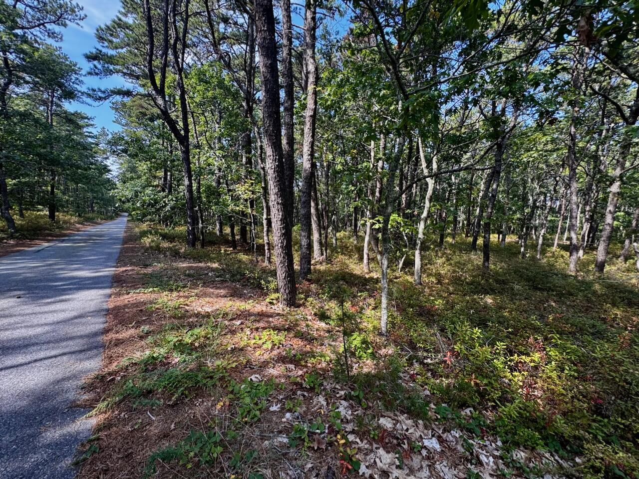 175 Delphi Path Wellfleet MA 02667