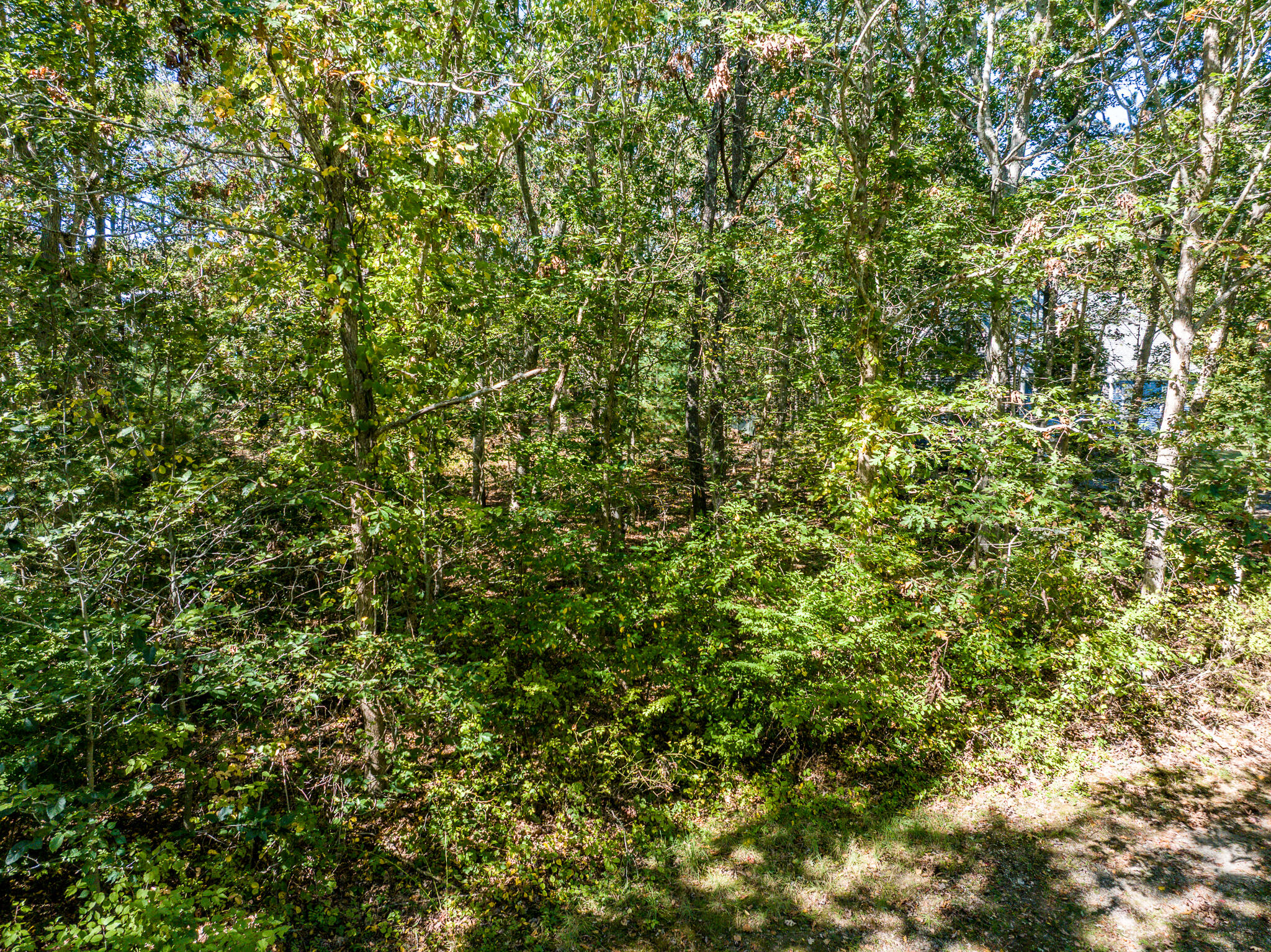 4 Faith Lane Sandwich MA 02563