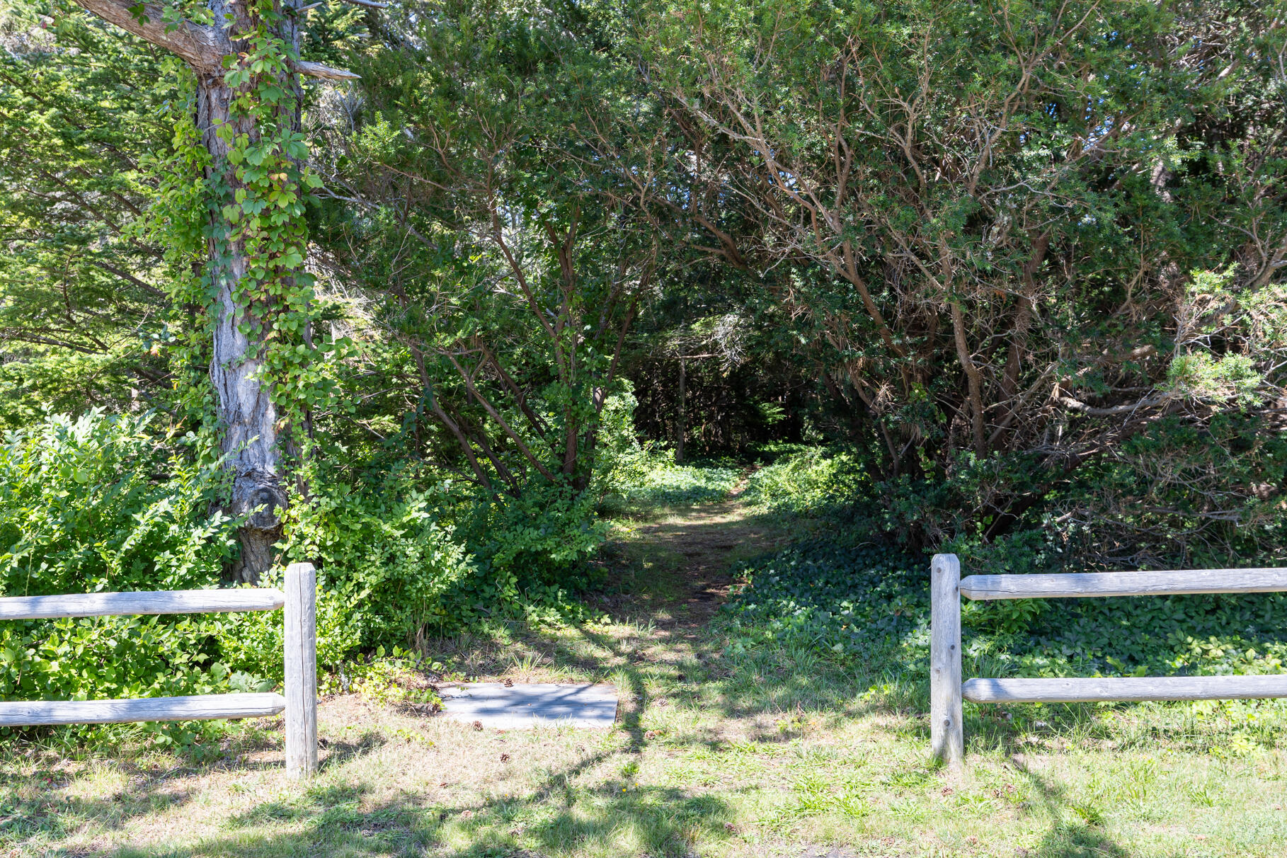 264 Sea View Avenue Osterville MA 02655