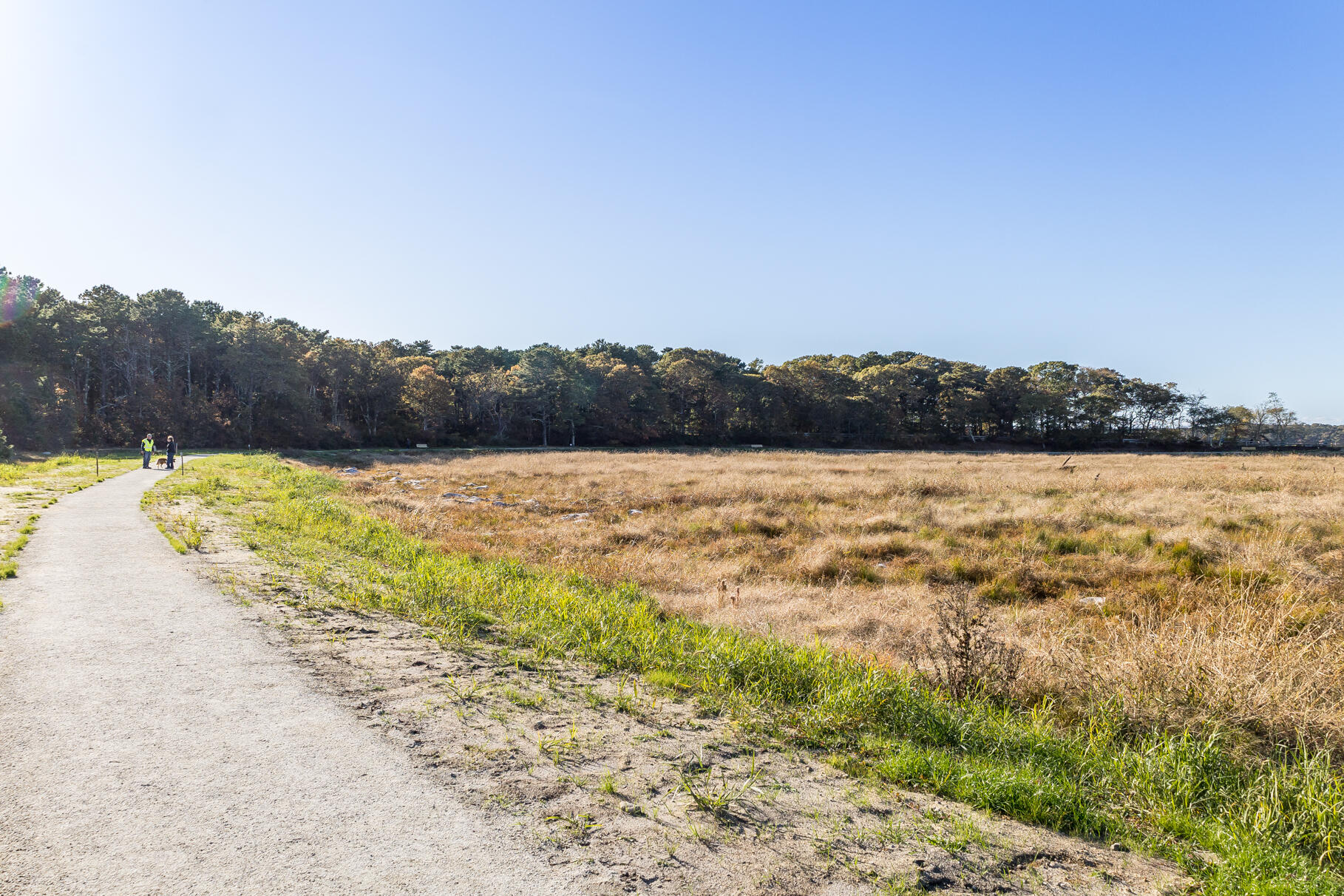 7 Bentley Road Harwich MA 02645