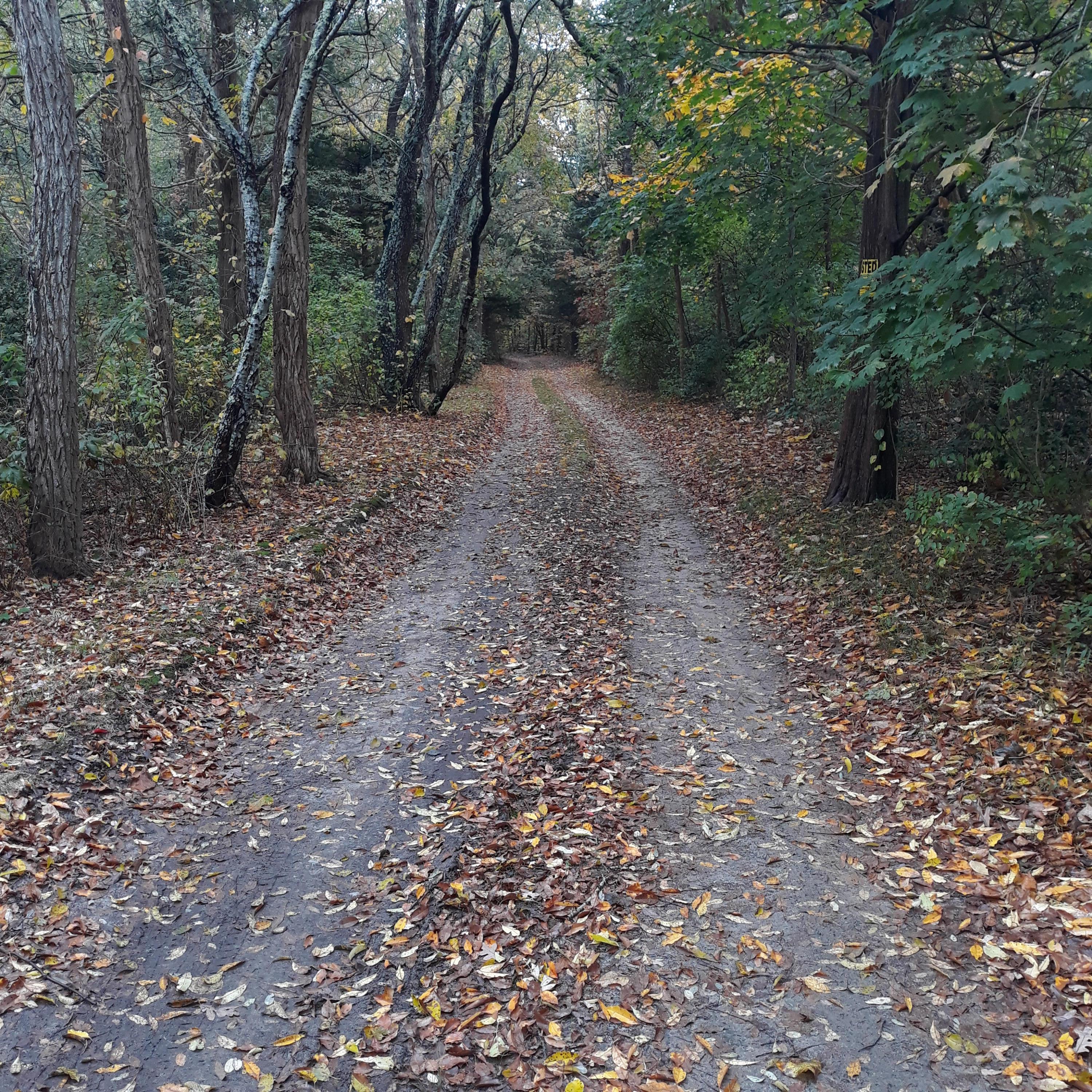 0 Ox Pasture Road MA 02563