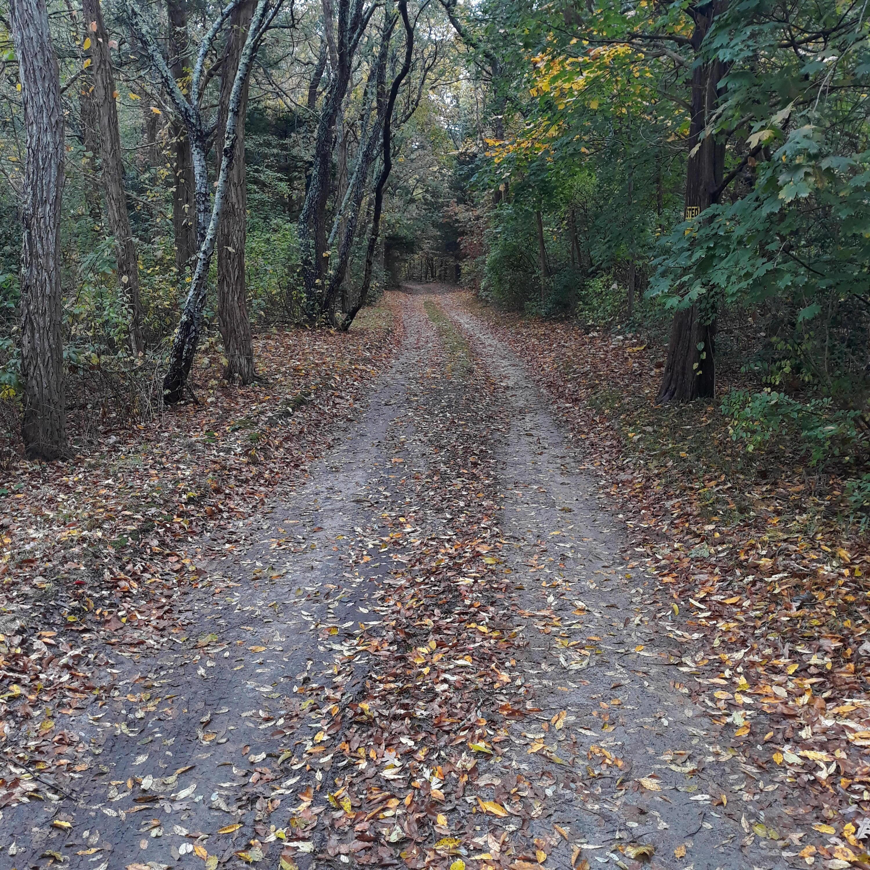 0 Ox Pasture Road Sandwich MA 02563