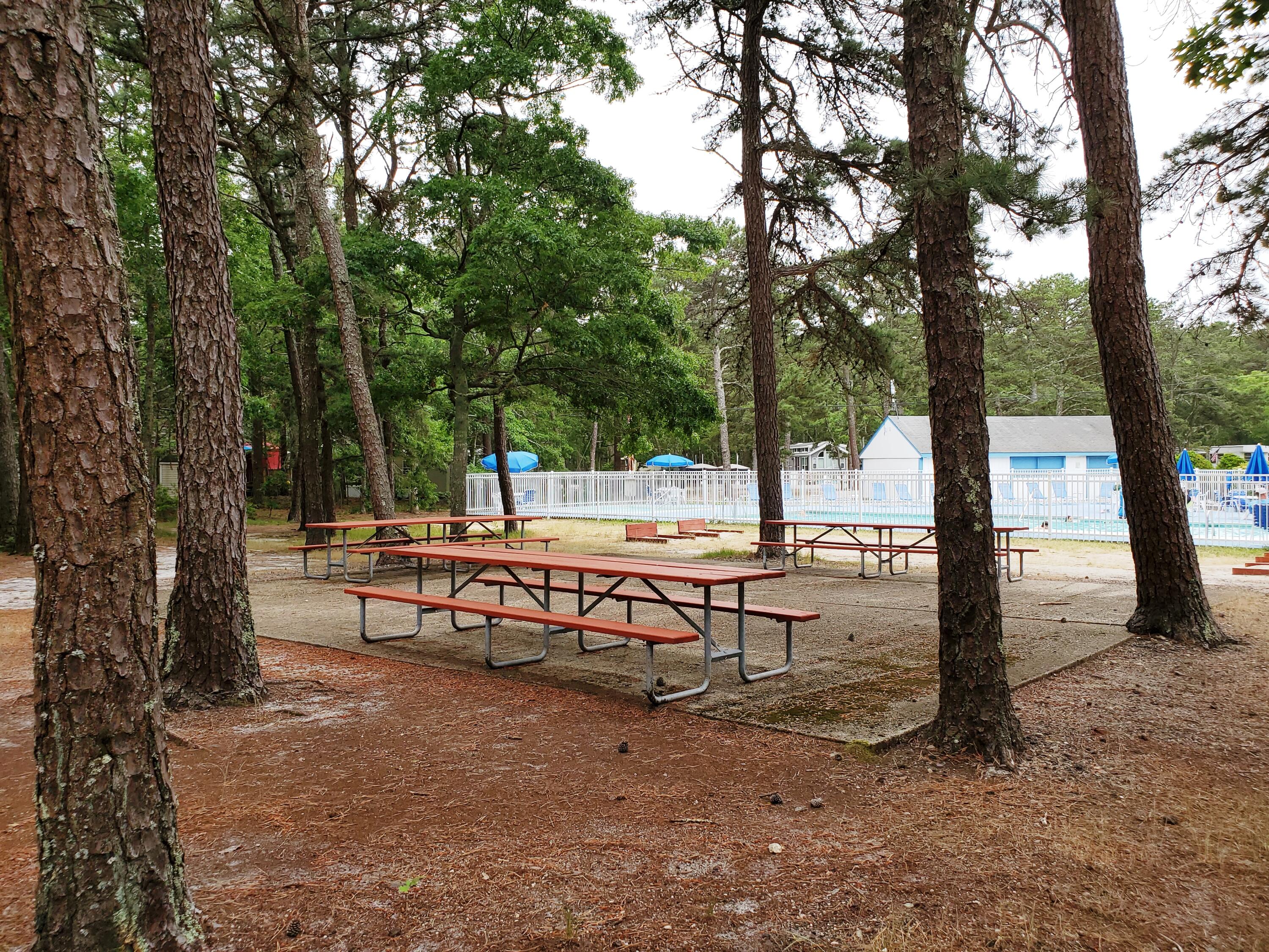 310 Old Chatham Road Dennis MA 02660