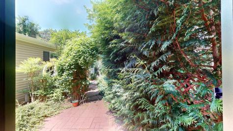 Wellfleet MA 02667