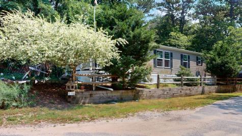Wellfleet MA 02667