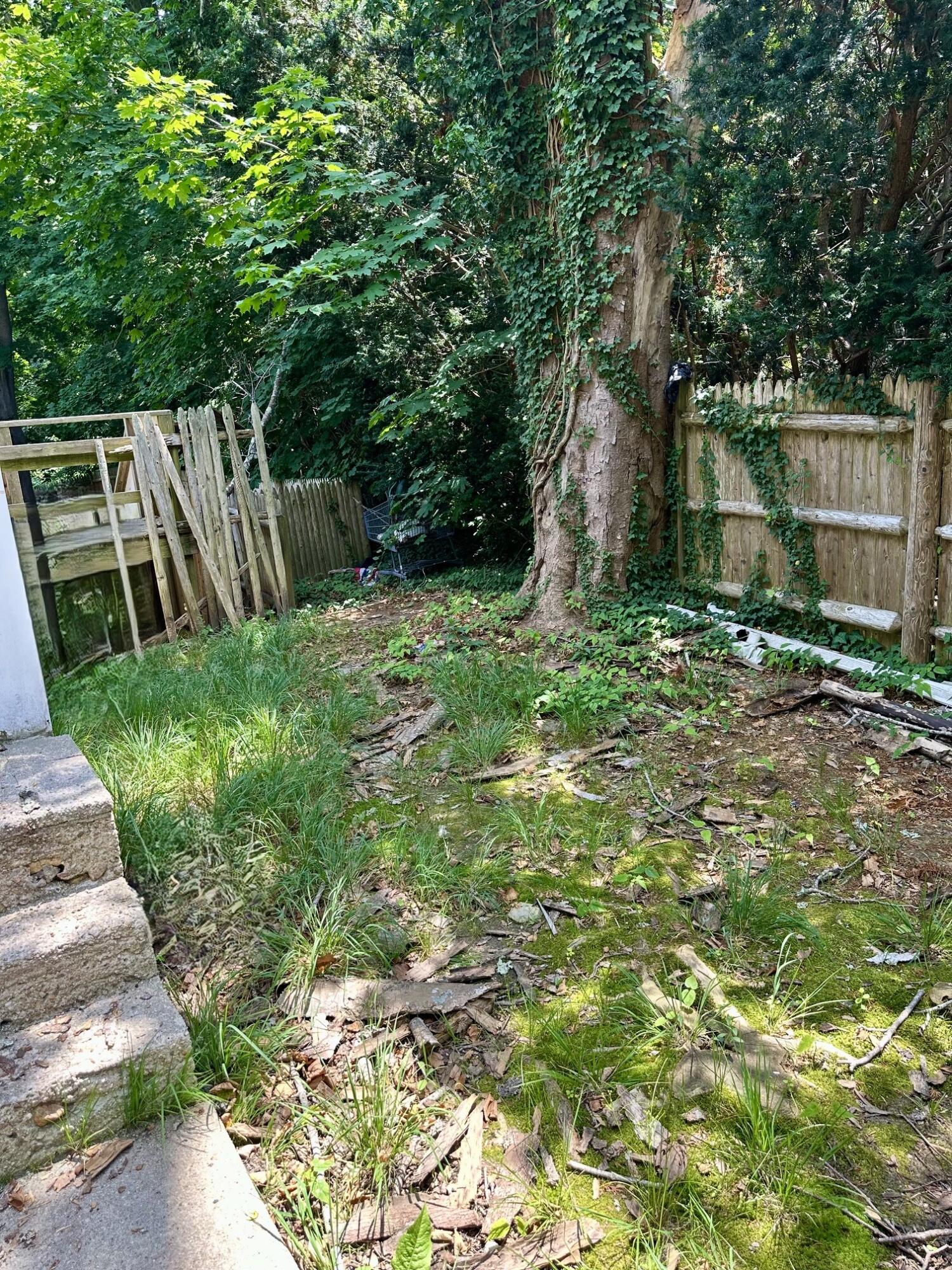 355 Palmer Avenue Falmouth MA 02540