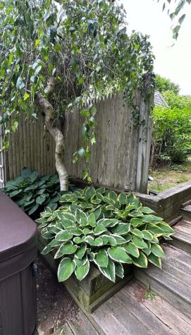 13 Allen Street Harwich MA 02645