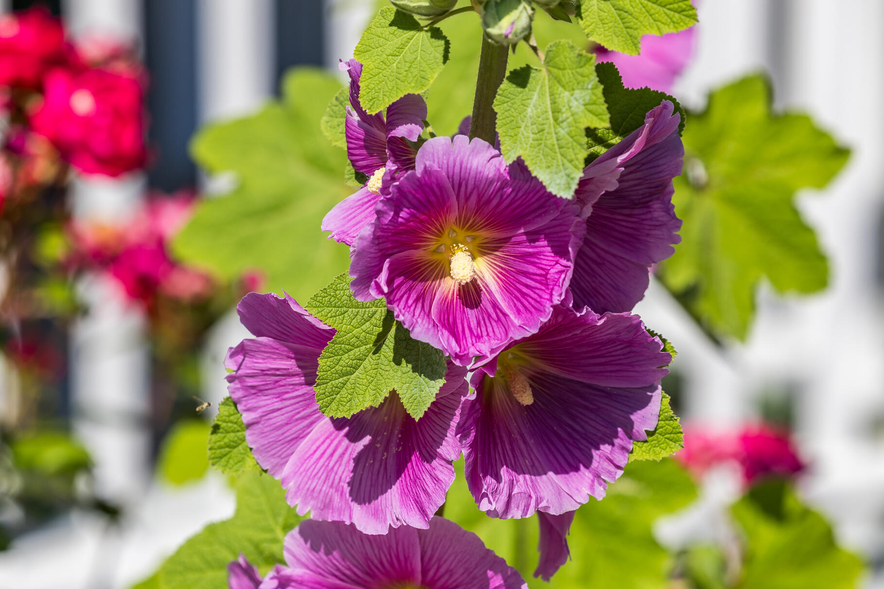 99 Route 130 Sandwich MA 02644