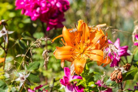 99 Route 130 Sandwich MA 02644