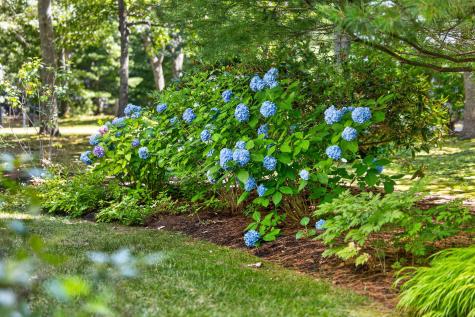 2 Huckleberry Drive Orleans MA 02653