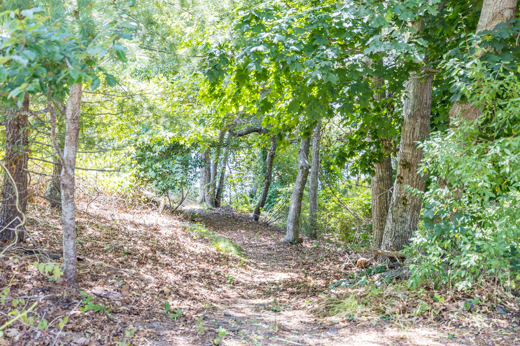 12 Tracey Road Barnstable MA 02635