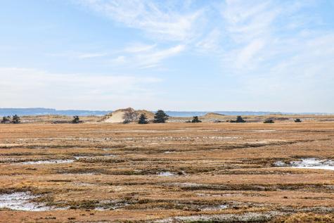 655 Herring Brook Road Eastham MA 02642