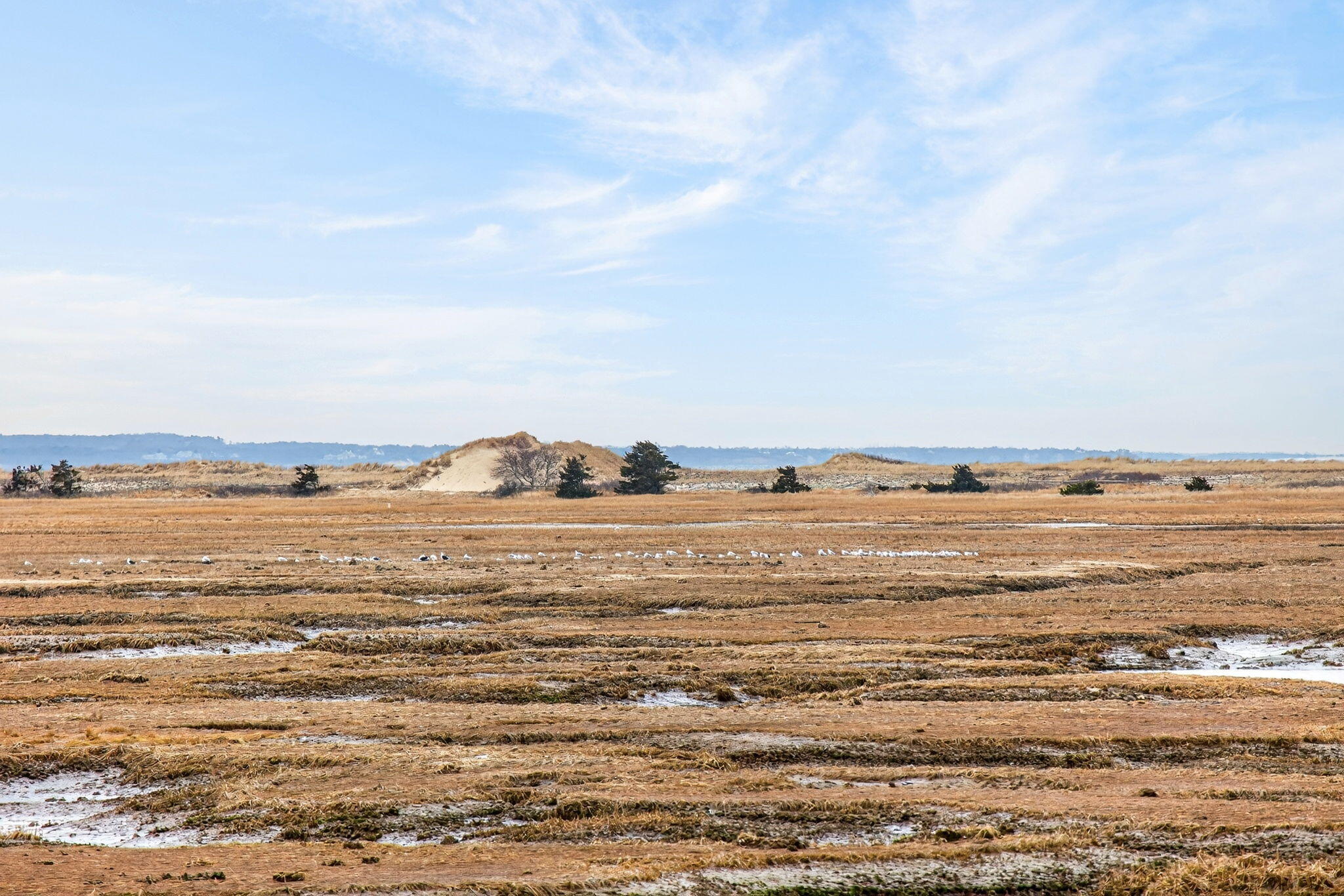 655 Herring Brook Road Eastham MA 02642