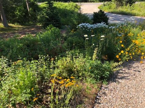 19 Sandy Meadow Way Eastham MA 02642