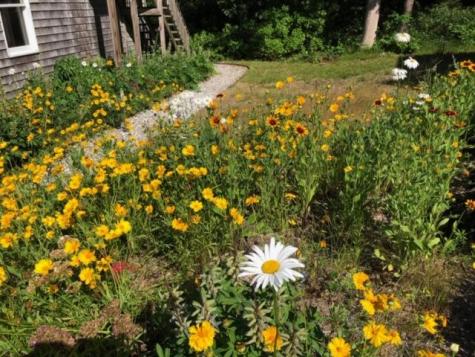 19 Sandy Meadow Way Eastham MA 02642