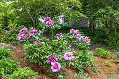 370 Main Street Dennis MA 02660