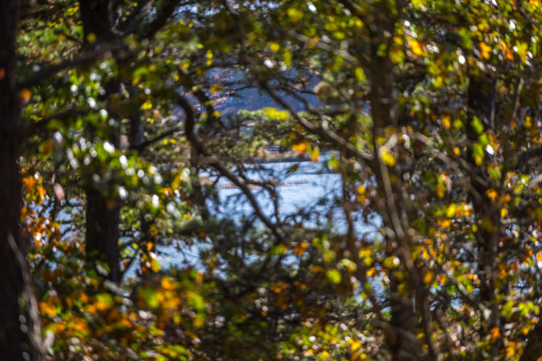 25 First Avenue Wellfleet MA 02667