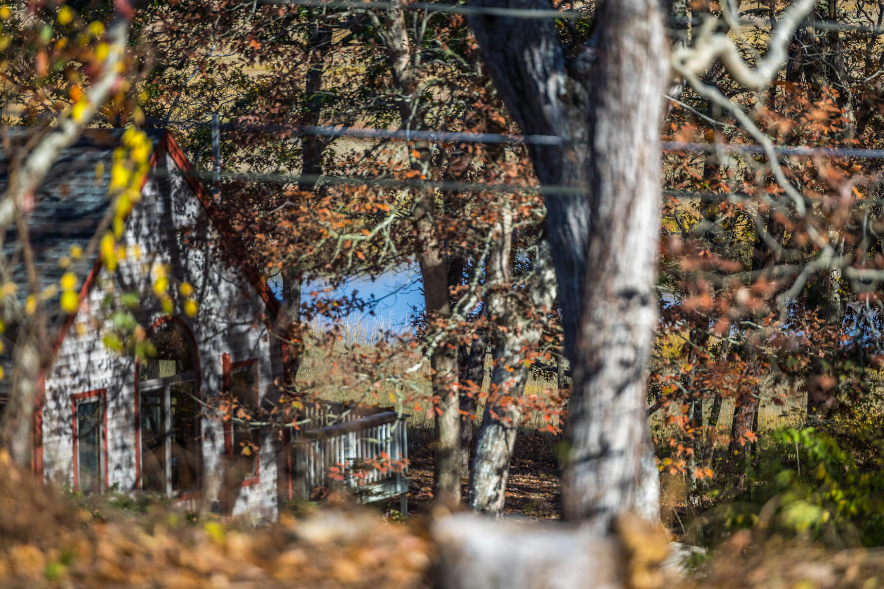 25 First Avenue Wellfleet MA 02667