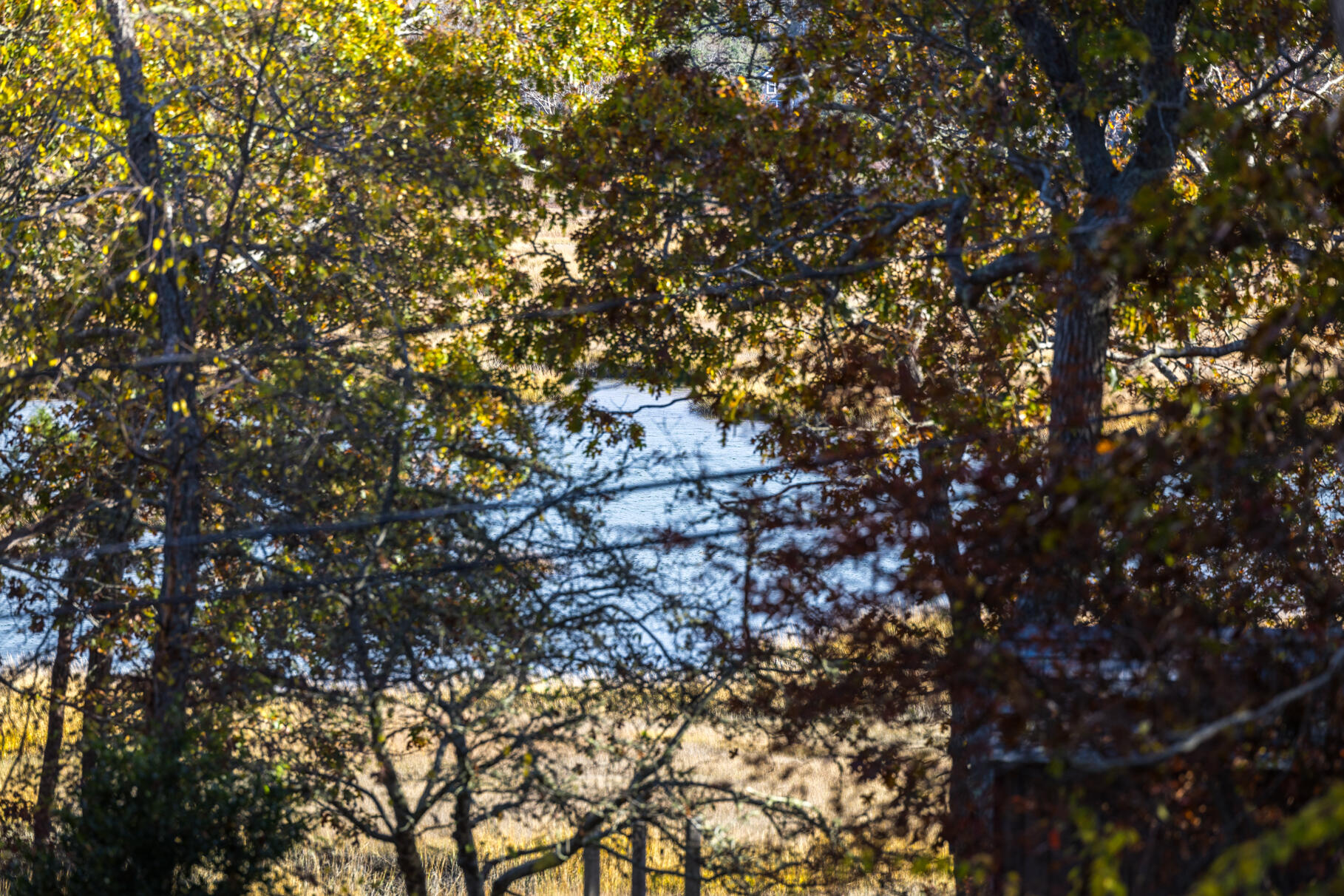 25 First Avenue Wellfleet MA 02667