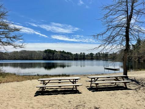 161 Beechtree Drive Brewster MA 02631