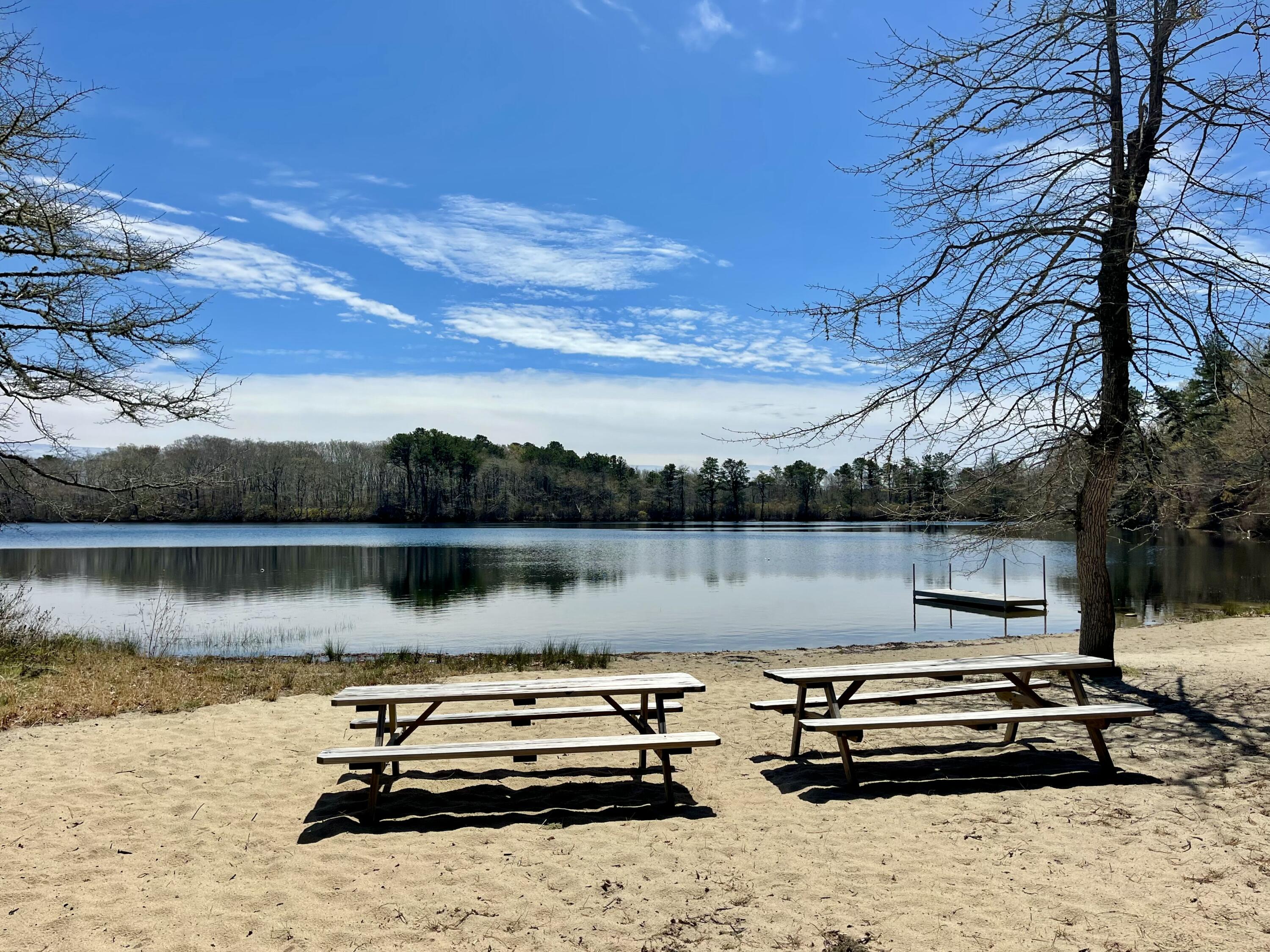 161 Beechtree Drive Brewster MA 02631