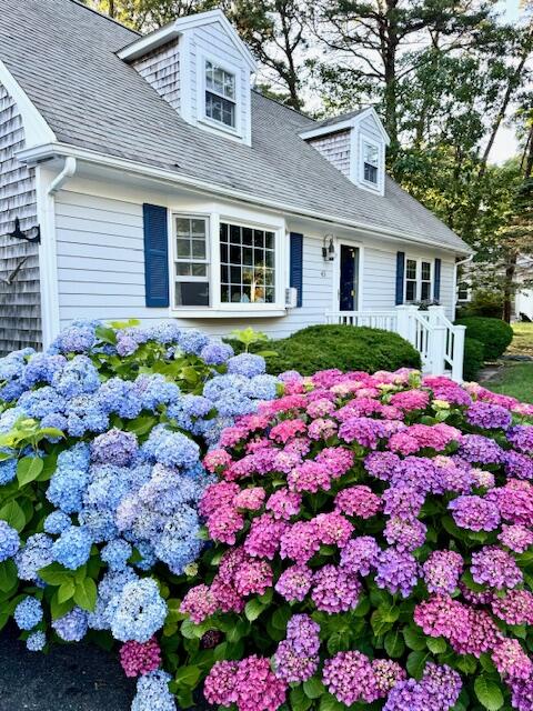 43 Canterbury Road Yarmouth MA 02675