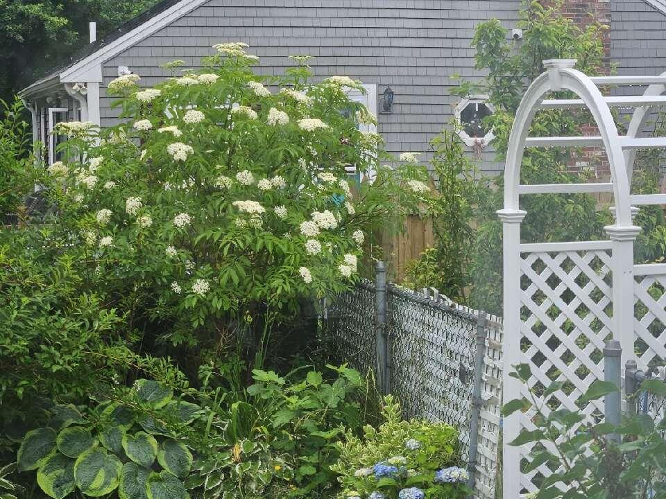 96 Connemara Circle Hyannis MA 02601