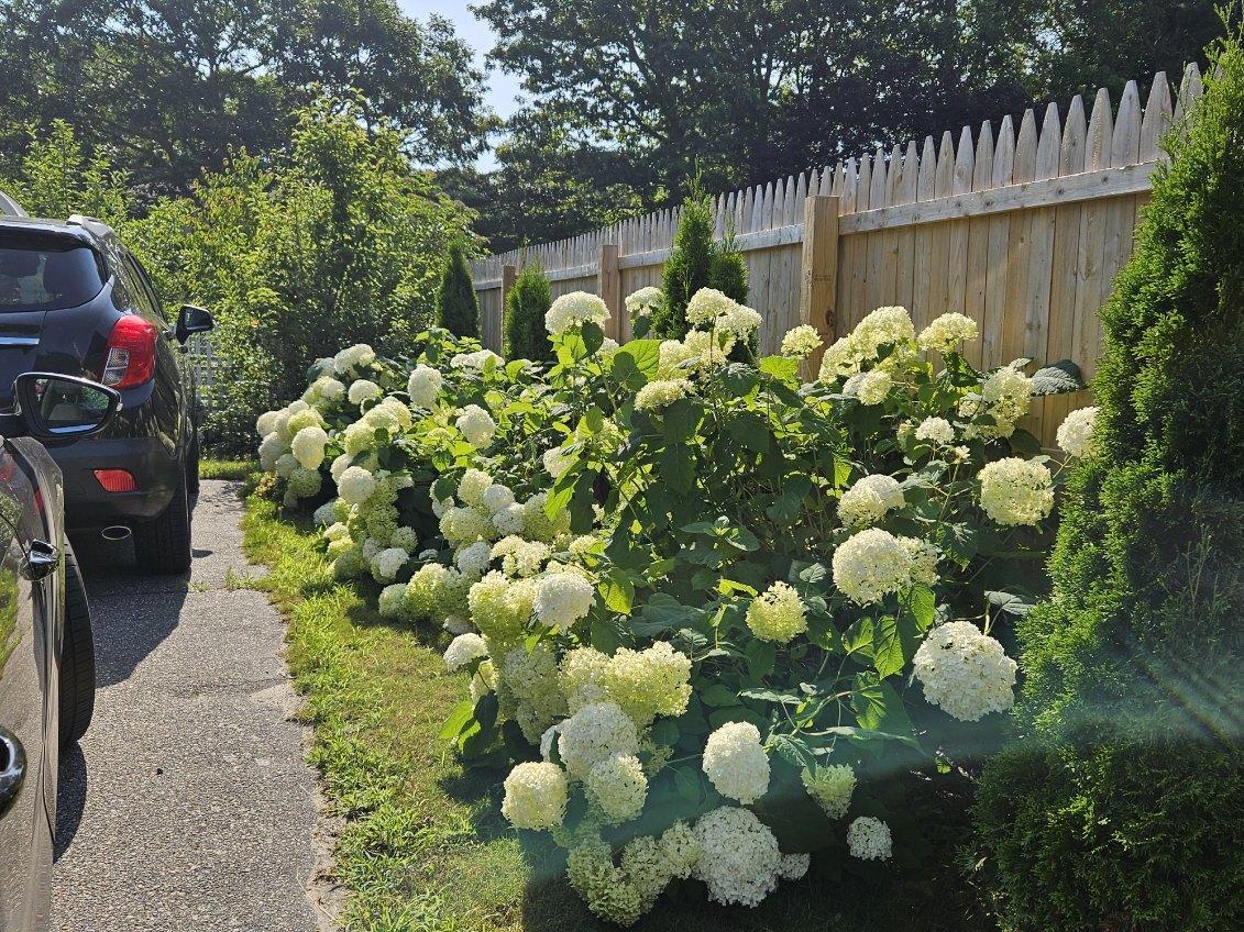 96 Connemara Circle Hyannis MA 02601