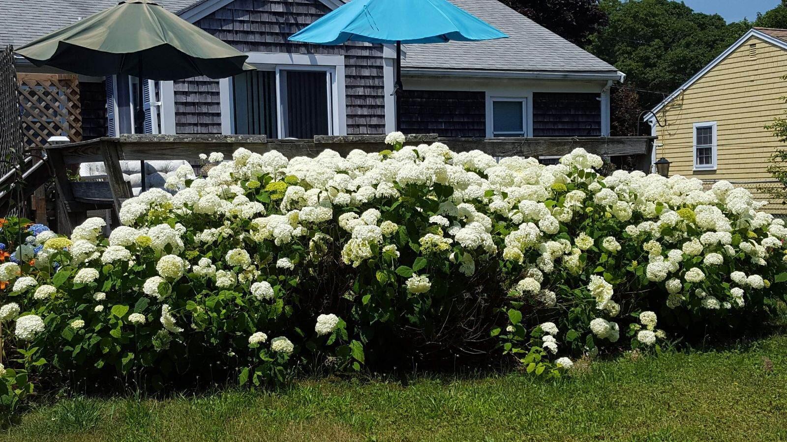 96 Connemara Circle Hyannis MA 02601