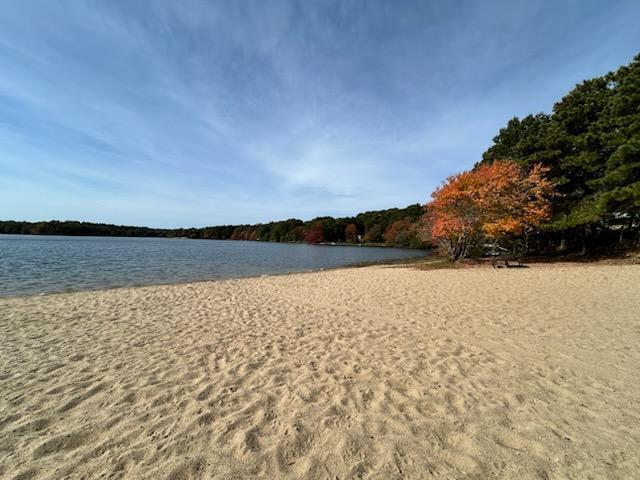 590 Sandwich Road Falmouth MA 02536